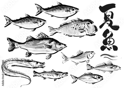 手描き和風素材　夏が旬の魚セット