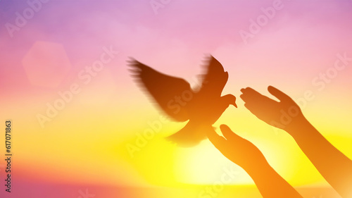 Silhouette pigeon return coming to hands in air vibrant sunlight sunset sunrise background. Freedom making merit concept. Nature animal people hope pray holy faith. International Day of Peace theme. © Shutter2U