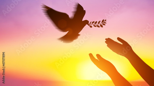 Silhouette pigeon return coming with olive branch to hands vibrant sunlight sunset sunrise background. Freedom making merit concept. Animal people hope pray holy faith. International Day of Peace. © Shutter2U