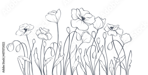 Popy flowers. Sketch in lines, freehand drawing. Vector illustration, summer background, flower meadow.
