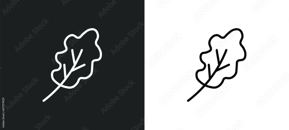 oak leaf line icon in white and black colors. oak leaf flat vector icon from oak leaf collection for web, mobile apps and ui.