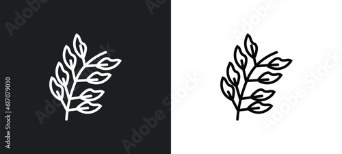 bilberry leaf line icon in white and black colors. bilberry leaf flat vector icon from bilberry leaf collection for web, mobile apps and ui.