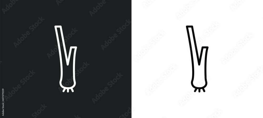 lemongrass line icon in white and black colors. lemongrass flat vector icon from lemongrass collection for web, mobile apps and ui. lemongrass line icon in white and black colors. lemongrass flat vector icon from lemongrass collection for web, mobile apps and ui.