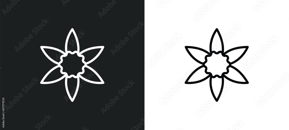 jonquil line icon in white and black colors. jonquil flat vector icon from jonquil collection for web, mobile apps and ui. jonquil line icon in white and black colors. jonquil flat vector icon from jonquil collection for web, mobile apps and ui.