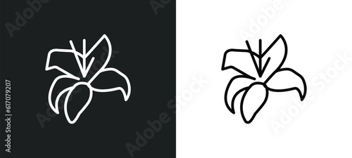 lily line icon in white and black colors. lily flat vector icon from lily collection for web, mobile apps and ui.