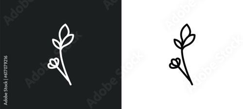 lavender line icon in white and black colors. lavender flat vector icon from lavender collection for web, mobile apps and ui.