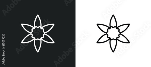 jonquil line icon in white and black colors. jonquil flat vector icon from jonquil collection for web, mobile apps and ui.