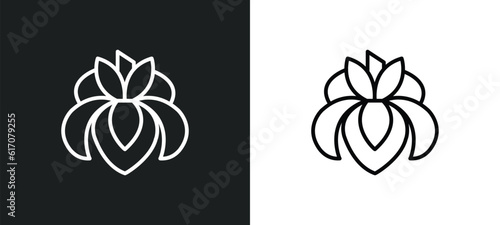 iris line icon in white and black colors. iris flat vector icon from iris collection for web, mobile apps and ui.
