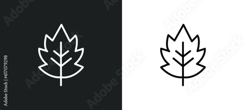 hawthorn line icon in white and black colors. hawthorn flat vector icon from hawthorn collection for web, mobile apps and ui.