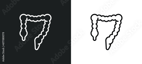 colon line icon in white and black colors. colon flat vector icon from colon collection for web, mobile apps and ui. photo