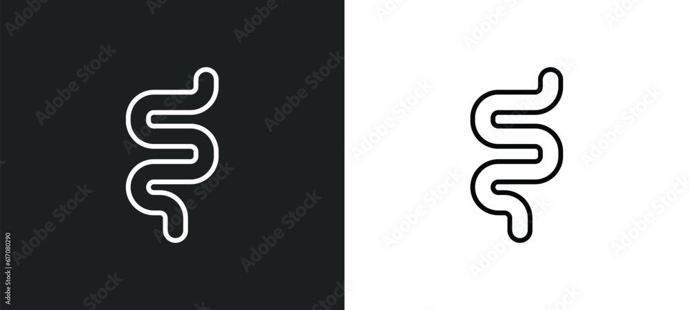 intestine line icon in white and black colors. intestine flat vector icon from intestine collection for web, mobile apps and ui. intestine line icon in white and black colors. intestine flat vector icon from intestine collection for web, mobile apps and ui.