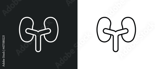 kidneys line icon in white and black colors. kidneys flat vector icon from kidneys collection for web, mobile apps and ui.