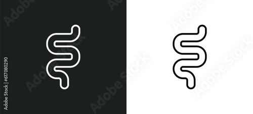 intestine line icon in white and black colors. intestine flat vector icon from intestine collection for web, mobile apps and ui.