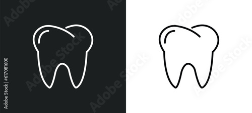 human teeth line icon in white and black colors. human teeth flat vector icon from human teeth collection for web, mobile apps and ui.
