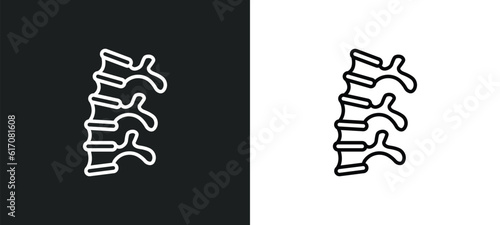 human spine line icon in white and black colors. human spine flat vector icon from human spine collection for web, mobile apps and ui.