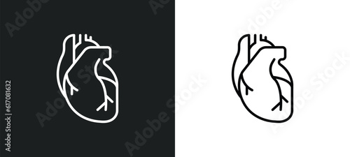 human heart line icon in white and black colors. human heart flat vector icon from human heart collection for web, mobile apps and ui.