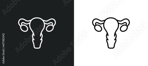 gynecology line icon in white and black colors. gynecology flat vector icon from gynecology collection for web, mobile apps and ui.