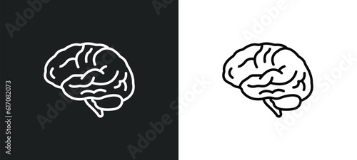 neurology line icon in white and black colors. neurology flat vector icon from neurology collection for web, mobile apps and ui.