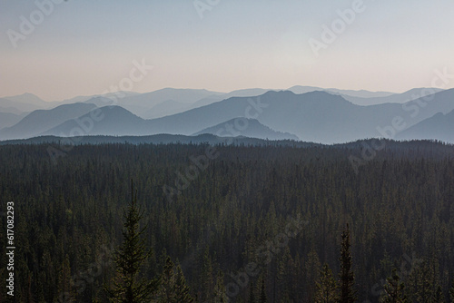 fog in the mountains
