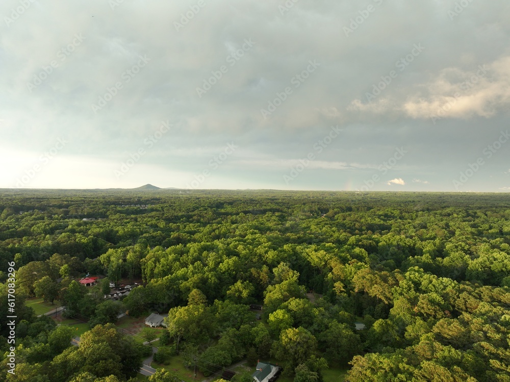 Obraz premium A stunning drone photo on a spring day in Powder Springs Georgia. A vast view of the Georgia landscape in Powder Springs. Warm sunlight covers the lush canopy of trees and neighborhoods.