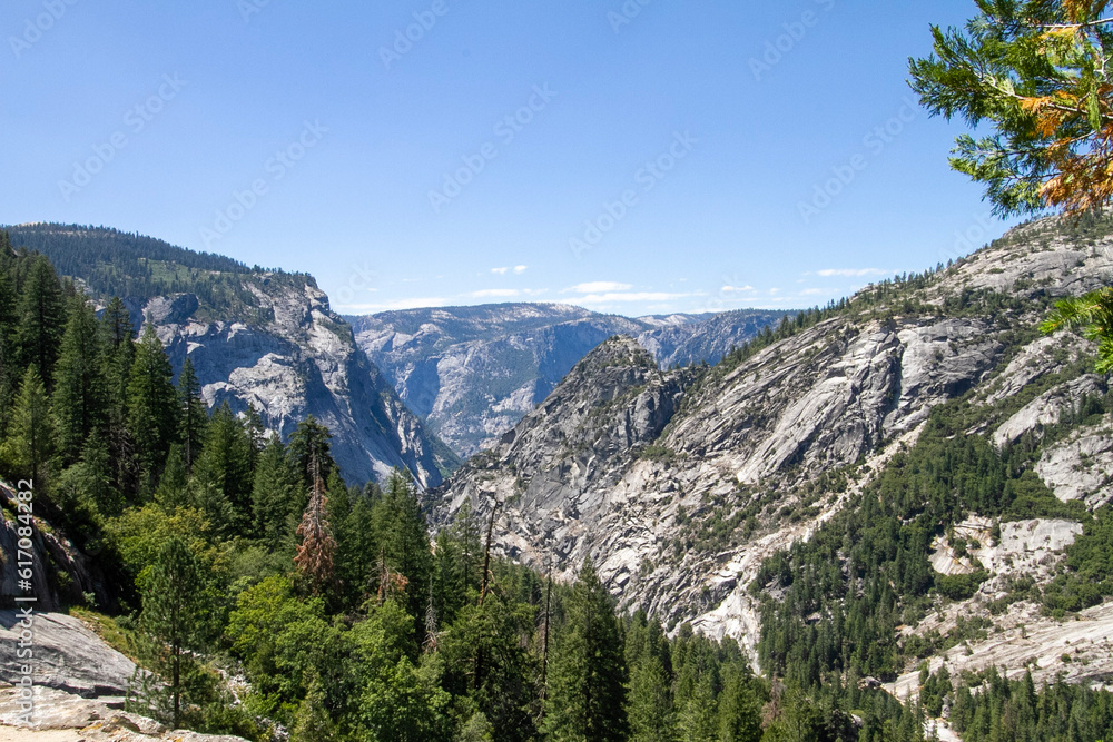 Fototapeta premium park