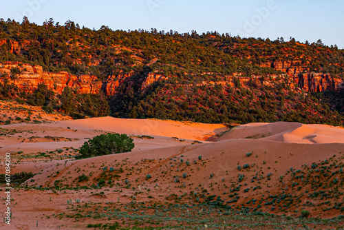 landscape in the desert