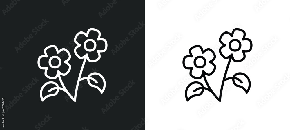 Fototapeta premium two flowers line icon in white and black colors. two flowers flat vector icon from two flowers collection for web, mobile apps and ui.