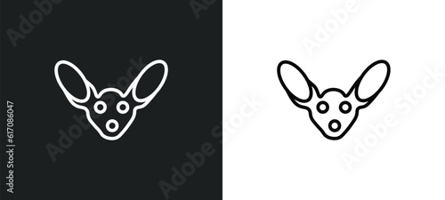 fennec line icon in white and black colors. fennec flat vector icon from fennec collection for web, mobile apps and ui.