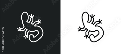 gecko top view shape line icon in white and black colors. gecko top view shape flat vector icon from gecko top view shape collection for web, mobile apps and ui.
