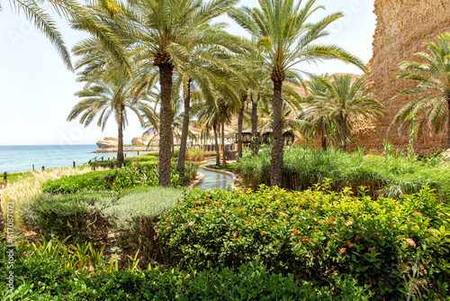 Garden with various tropical plants and palm trees by the sea
