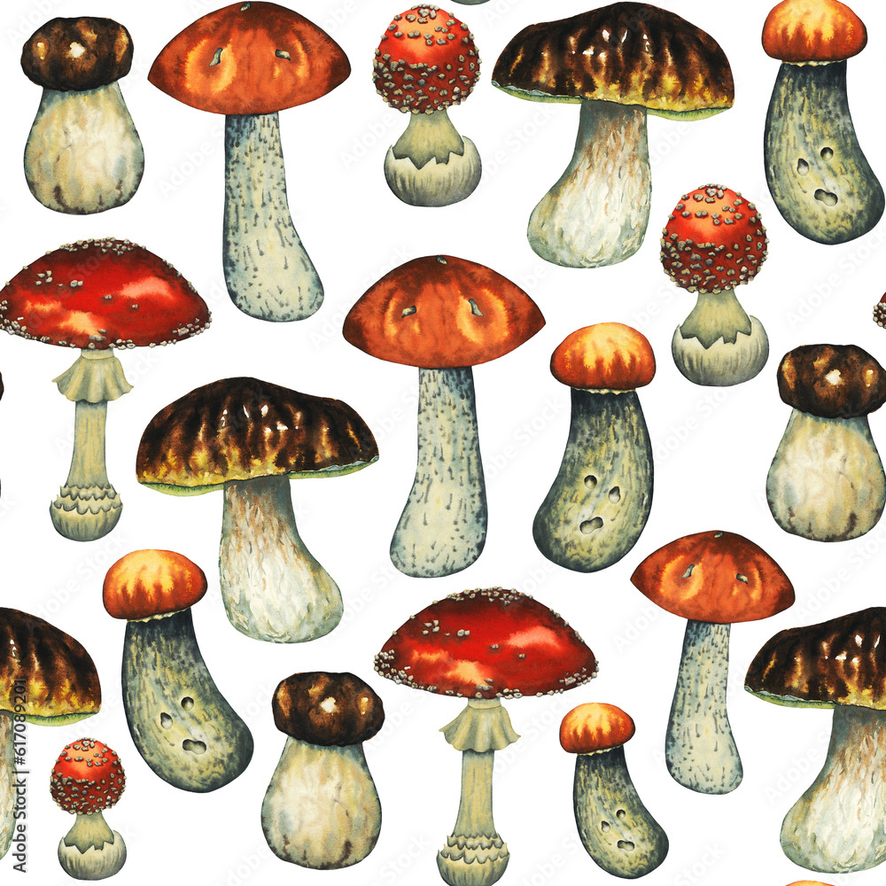Seamless watercolour pattern with red edible mushrooms, porcini, boletus, fly agarics amanita big and small. Isolated hand drawn illustration on white, wallpaper and background. Seamless watercolour pattern with red edible mushrooms, porcini, boletus, fly agarics amanita big and small. Isolated hand drawn illustration on white, wallpaper and background.