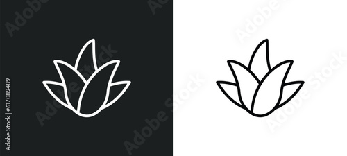 aloe vera line icon in white and black colors. aloe vera flat vector icon from aloe vera collection for web, mobile apps and ui.
