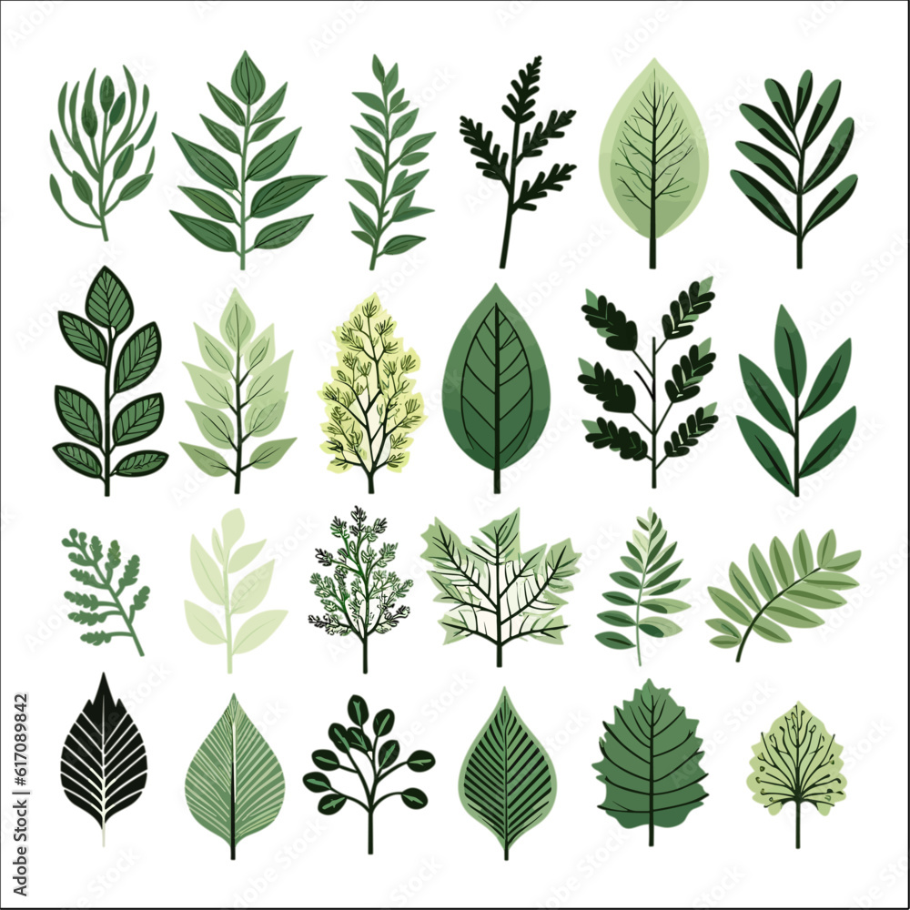 Set Of Tropical Leaves Decorative Element Set Of Tropical Leaves Decorative Element