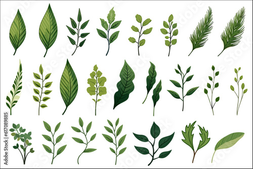 set of tropical leaves decorative element