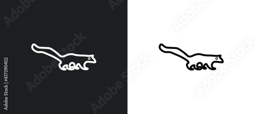 mongoose line icon in white and black colors. mongoose flat vector icon from mongoose collection for web, mobile apps and ui. photo