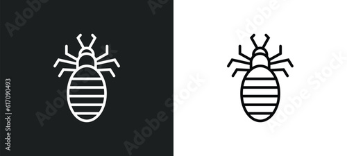 louse line icon in white and black colors. louse flat vector icon from louse collection for web, mobile apps and ui.