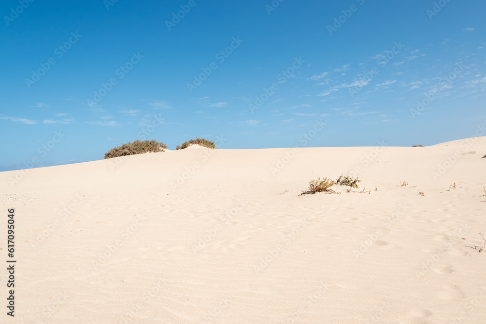 Fototapeta premium Dunas de Corralejo