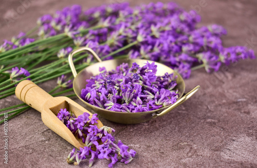The season of harvesting lavender flowers. Medicinal plants.
