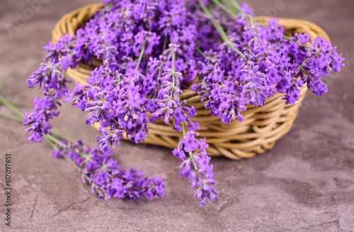 Lavender flowers in a basket. Fresh lavender flowers on a gray background.
