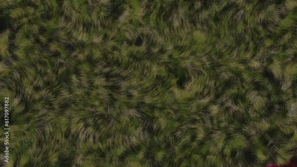 Abstract Colorful fur pattern animation Abstract Colorful fur pattern animation