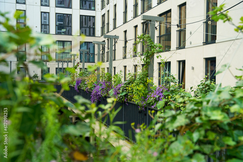Green rooftop garden with blooming plants near a residential building. Vertical gardening, urban garden for stimulating biodiversity and climate adaptation at the woldring locatie in Groningen. photo