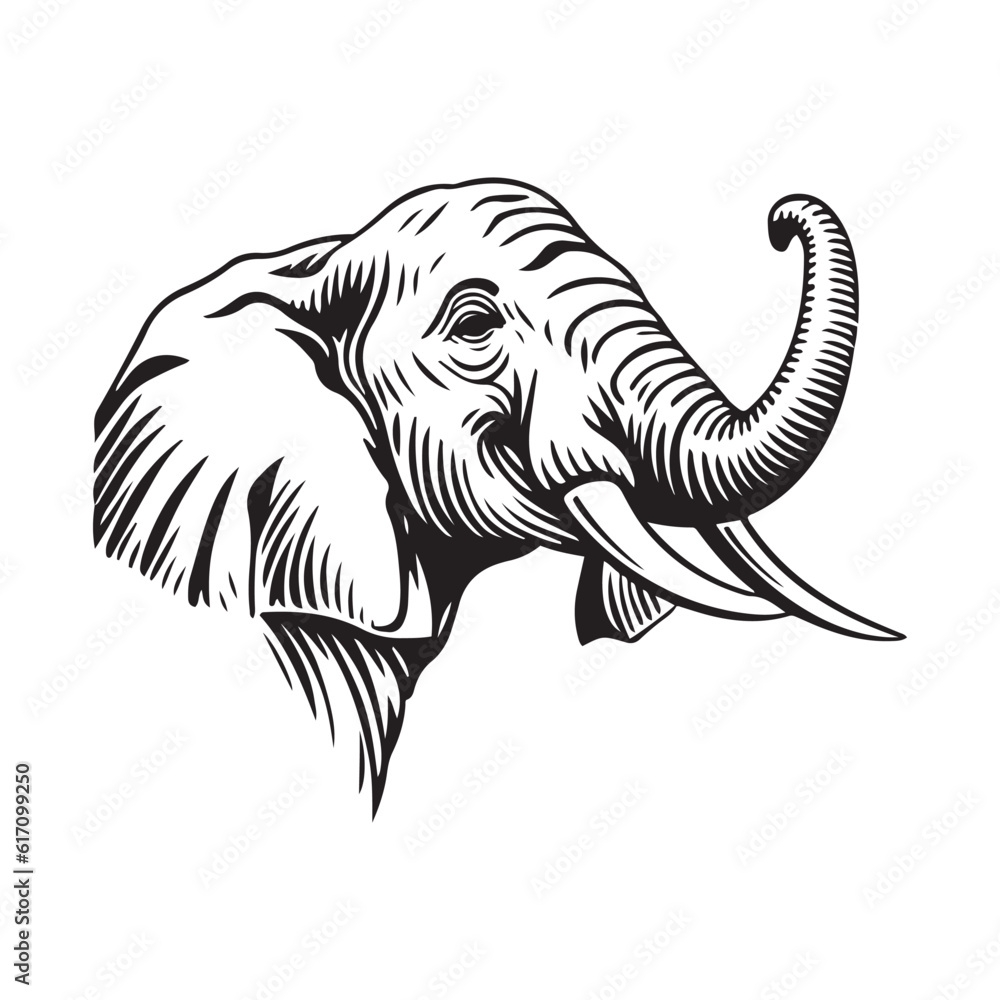 Elephant head vector illustration on a white background. Vintage Elephant illustration