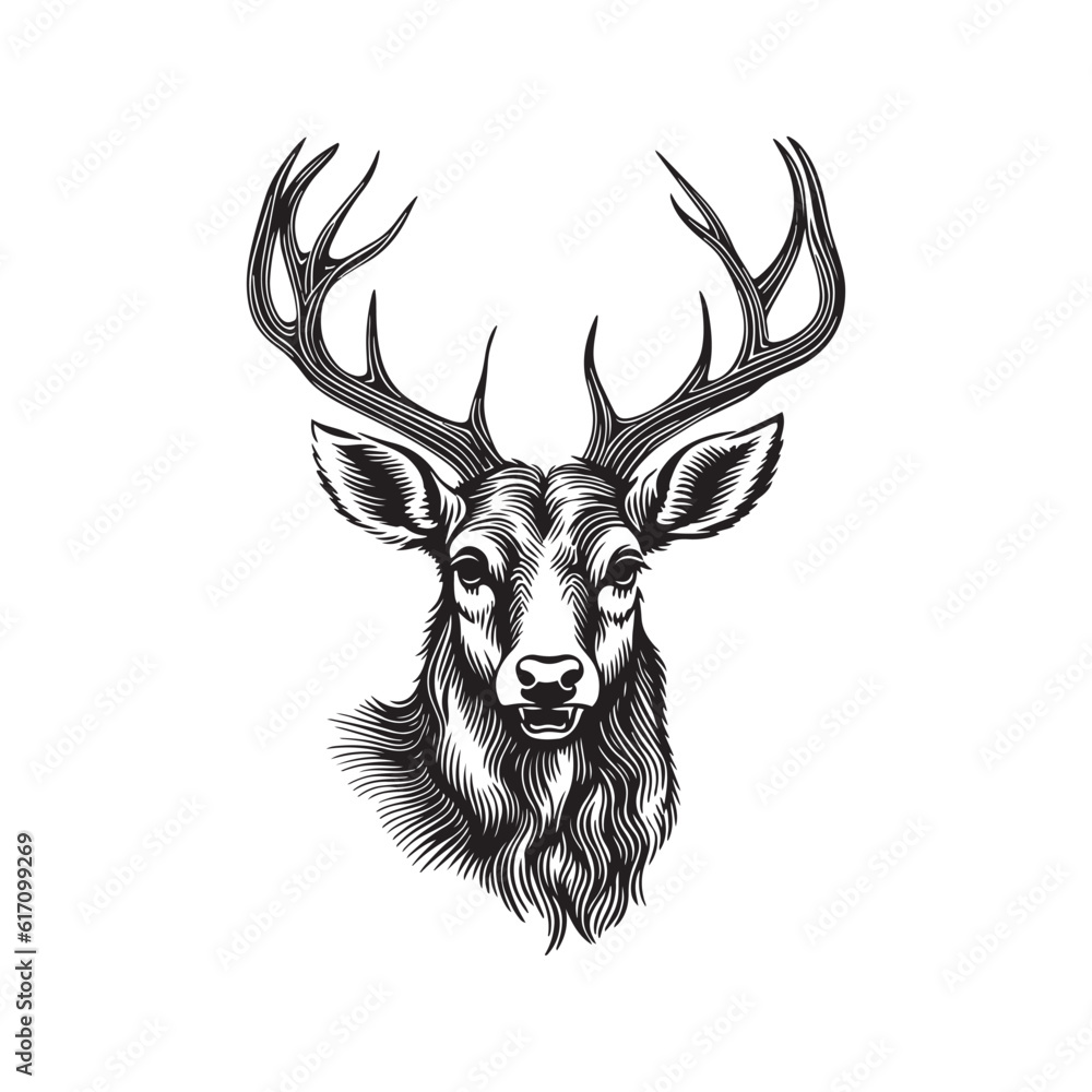 Deer head vector illustration on a white background. Vintage deer illustration Deer head vector illustration on a white background. Vintage deer illustration