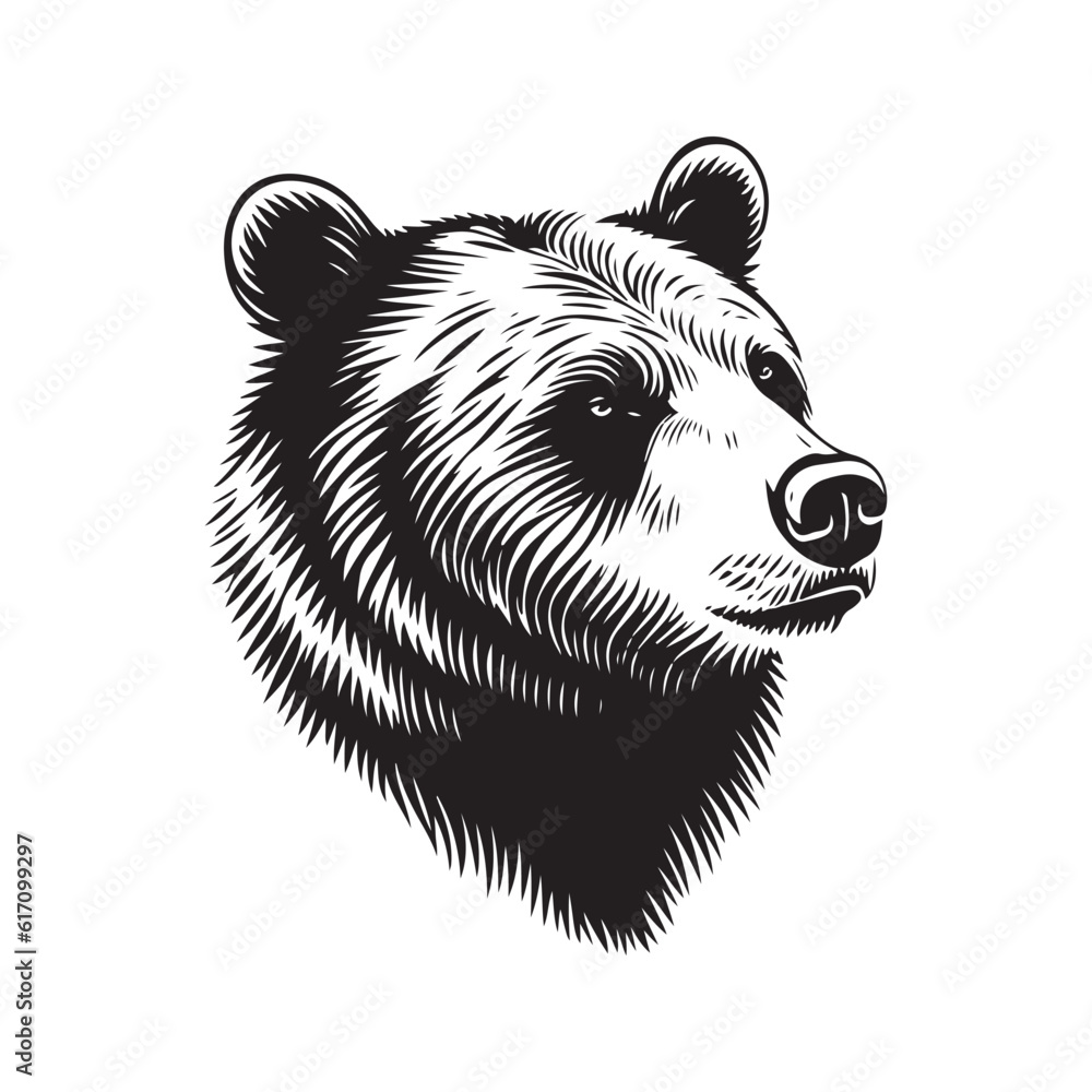 Bear head vector illustration on a white background. Vintage bear illustration