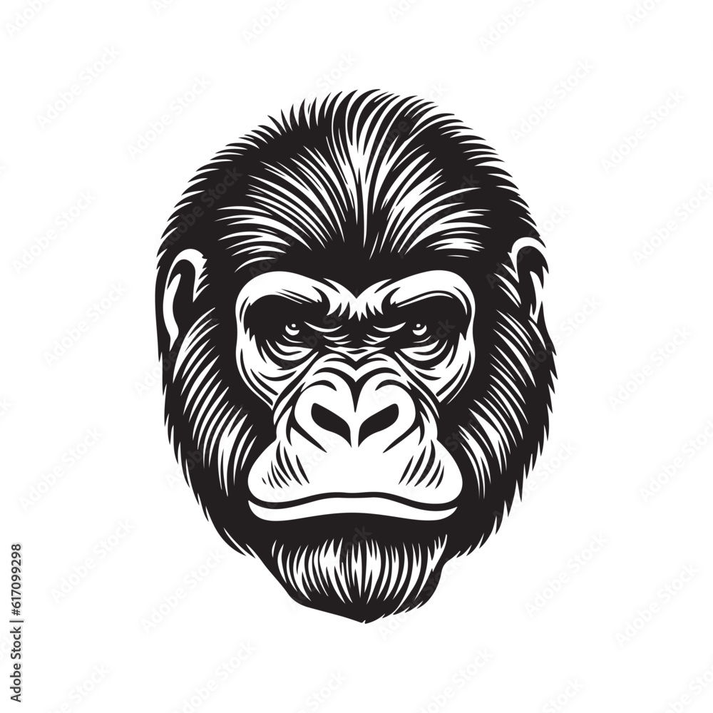 Gorilla head vector illustration on a white background. Vintage gorilla illustration