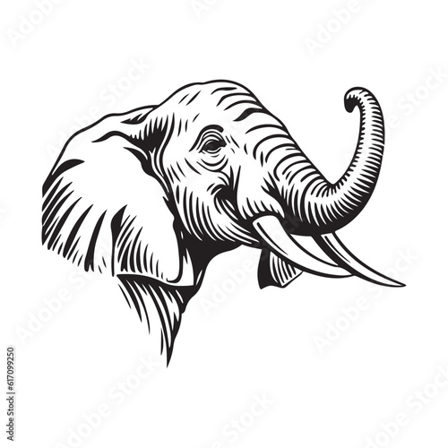 Elephant head vector illustration on a white background. Vintage Elephant illustration
