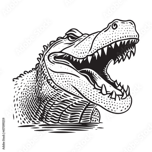 Alligator head vector illustration on a white background. Vintage Alligator illustration