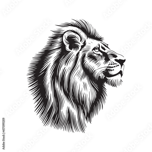 Fototapeta Naklejka Na Ścianę i Meble -  Lion head vector illustration on a white background. Vintage lion illustration