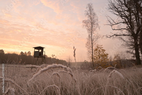 A hunting ground in the early frost