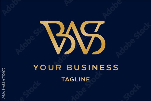 BWS Logo Design photo